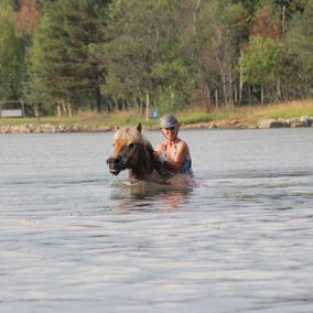 Hevonen ja ratsastaja uimassa