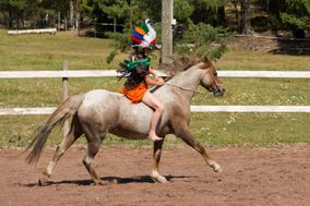 Naamiaisasuinen ratsastaja hevosen kanssa