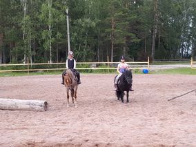 Ratsastuskoulun oppilaita tunnilla hevosten kanssa