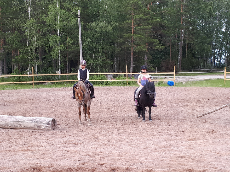 Ratsastuskoulun oppilaita tunnilla hevosten kanssa